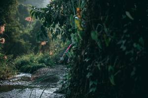 BIB: 
                            <button type="button" onclick="openModal(13716568)" class="btn btn-primary btn-sm float-right btn-popup" data-toggle="modal" data-target=".modal-high-quality">
                        <i class="fas fa-shopping-cart"></i> Add to Cart
                    </button>
                                            <button type="button" onclick="isThisMe(13716568, true)" class="btn btn-success btn-sm float-right btn-popup btn-isme hidden" data-toggle="tooltip" data-placement="bottom" title="นี่คือรูปของคุณใช่ไหม คลิกที่นี่เพื่อเอาเข้าอัลบั้ม">
                        <i class="fas fa-plus"></i> Add to album
                    </button>
                    <button type="button" onclick="isThisMe(13716568, false)" class="btn btn-warning btn-sm float-right btn-popup btn-isnotme hidden">
                        <i class="fas fa-ban"></i> Remove from album
                    </button>